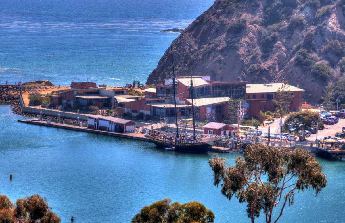 Special Events Banner