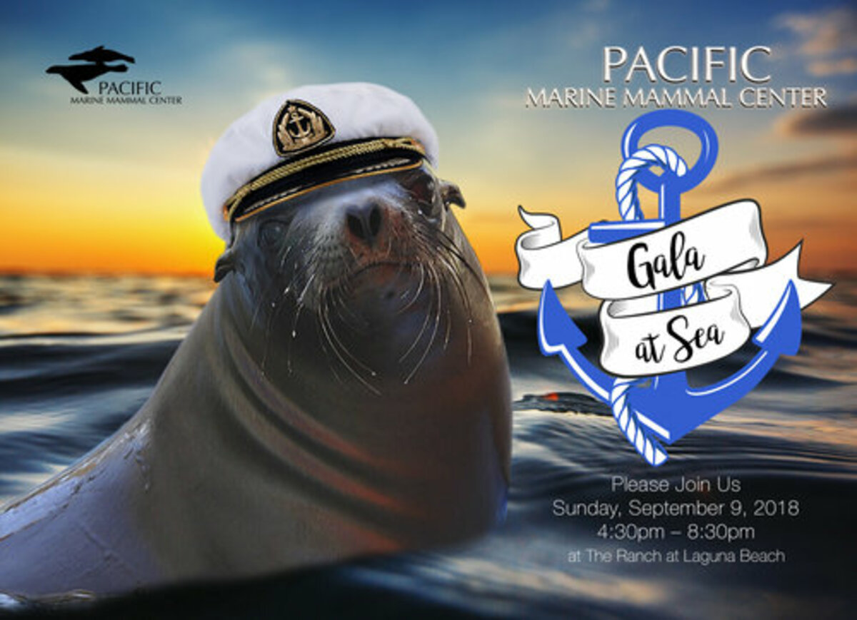 Pacific Marine Mammal Center "Gala at Sea"! Banner