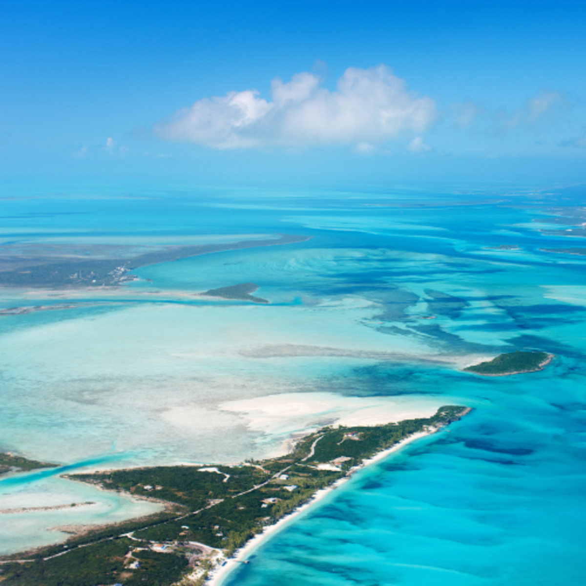 Test Opp - Joan Banner