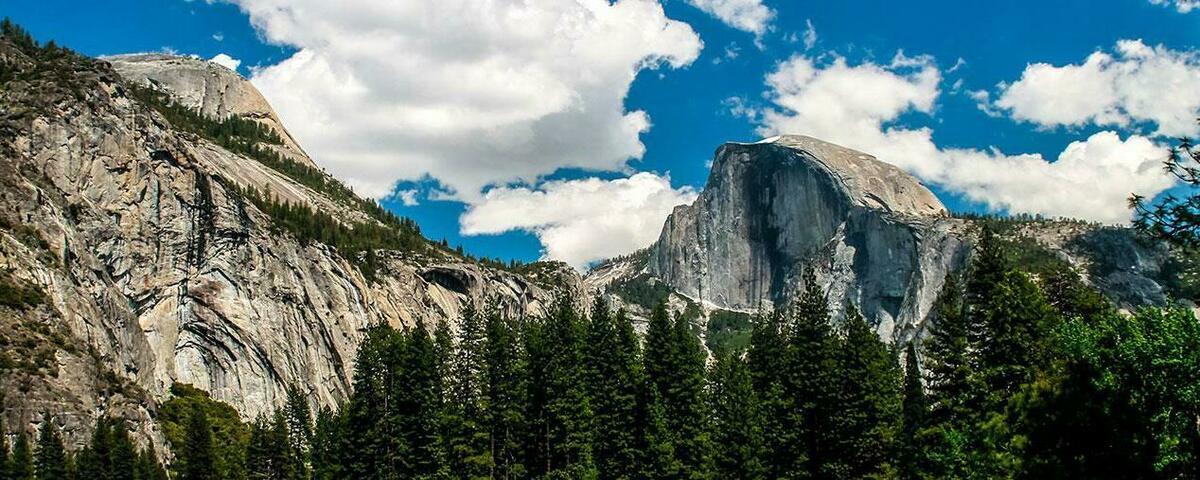 Sierra Club Foundation Banner