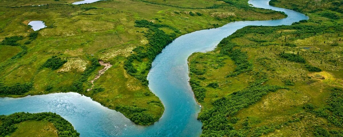 Nature Conservancy Banner