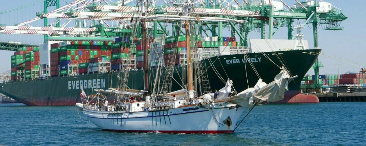 LAMI TopSailors Banner