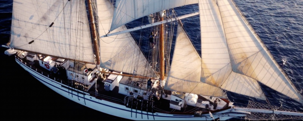 LAMI TopSailors Banner