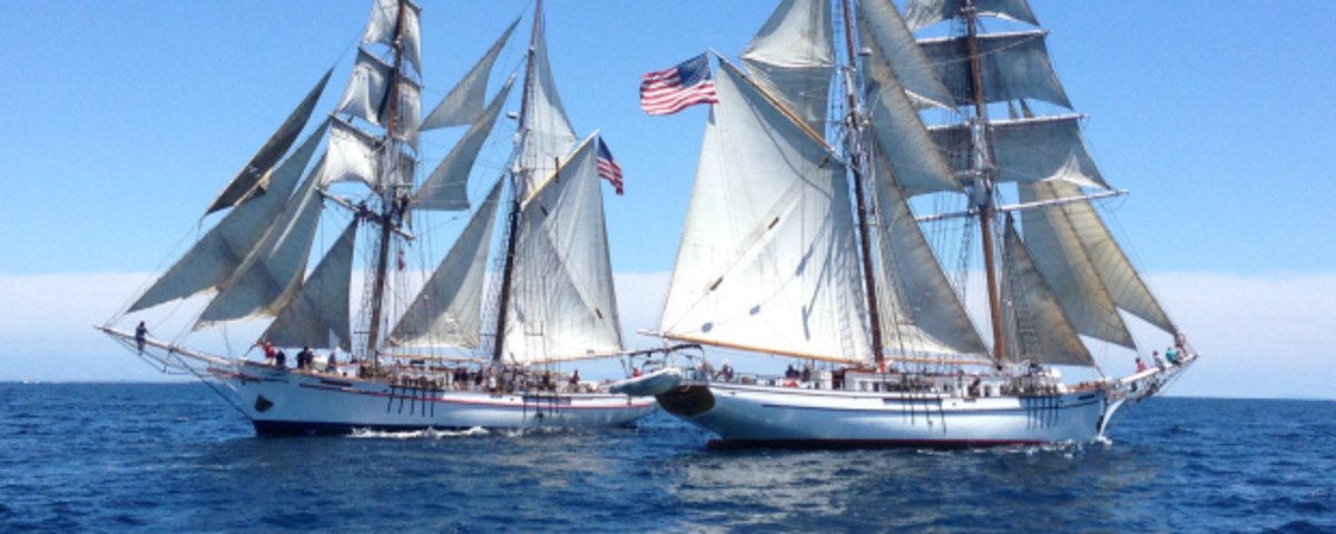 LAMI TopSailors Banner