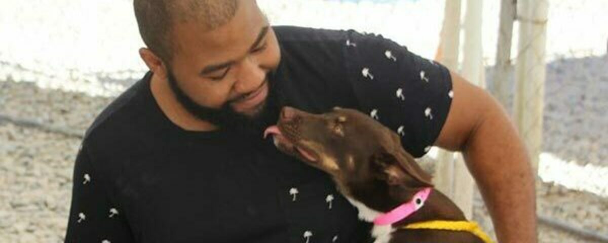 Animal Foundation Banner