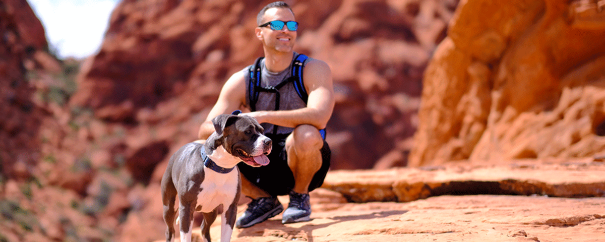 Animal Foundation Banner