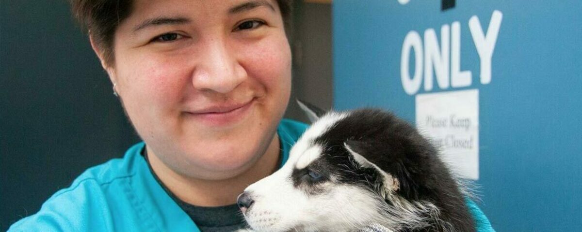 Animal Foundation Banner