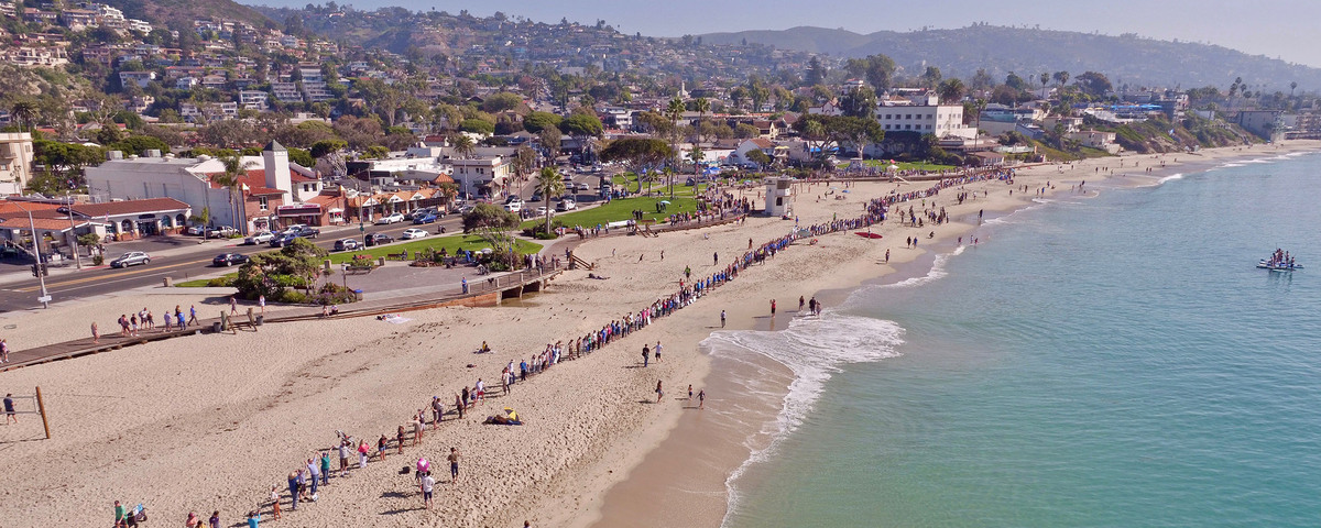 Surfrider Foundation Banner