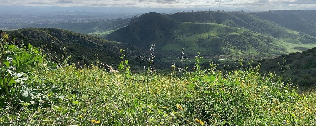 Laguna Canyon Foundation Banner