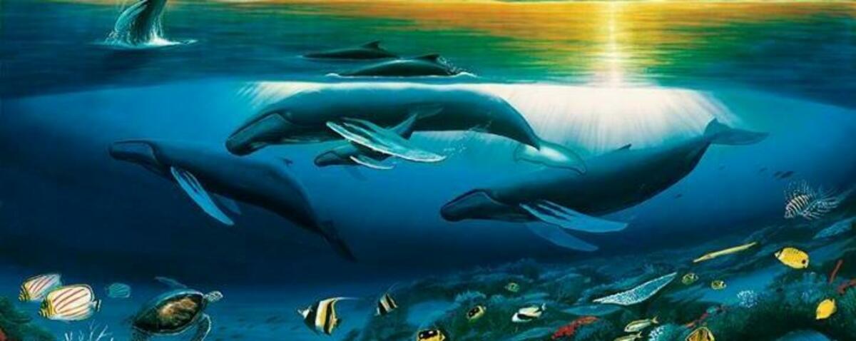 Wyland Foundation Banner