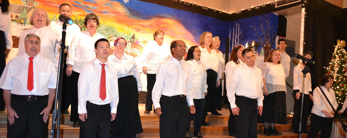 Creative Identity Banner