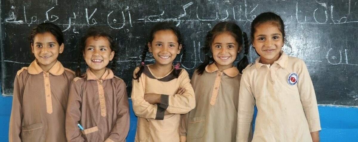 Developments In Literacy Banner