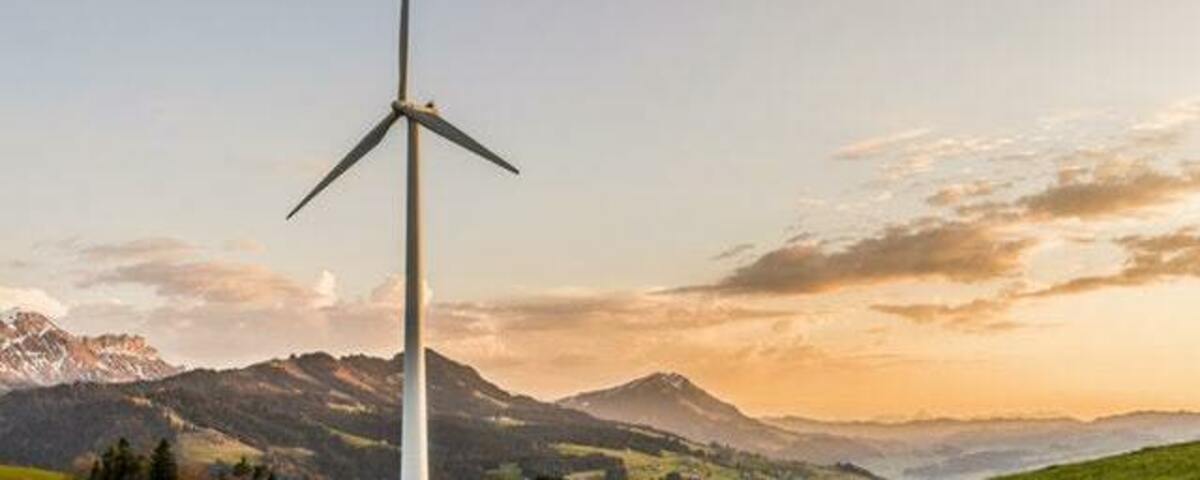 Energy Coalition Banner