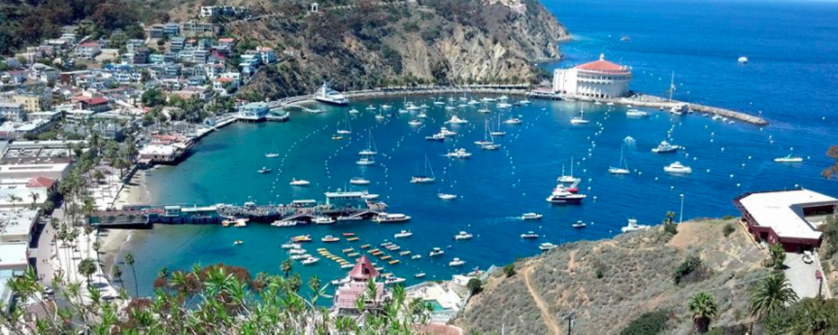 Avalon Rotary Club Foundation Banner