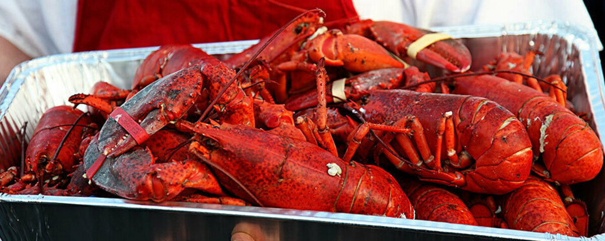 Yorba Linda Sunrise Rotary Club Banner