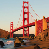 Third Party Business