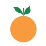 Childrens Hospital Pediatric Associates Inc