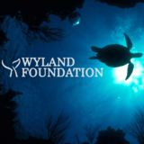 Wyland Foundation