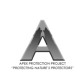 Apex Protection Project