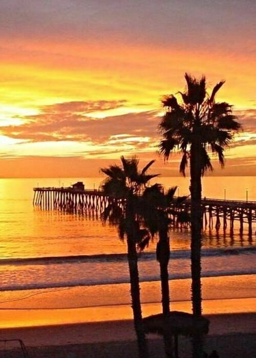 Grand Purchase's Profile Picture