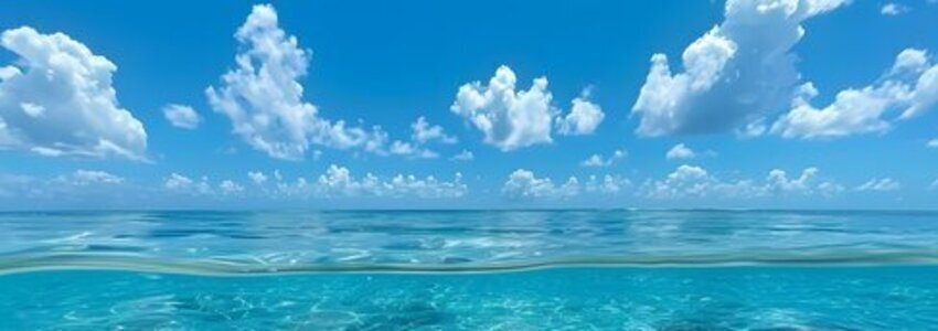 Shawn Wehan's Banner