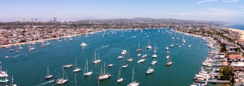 Fernanda Castelo's Banner