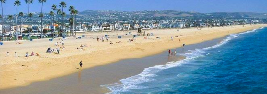 Dawn  Brandewie's Banner