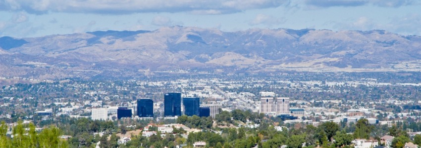 Anna Sakvarelidze's Banner