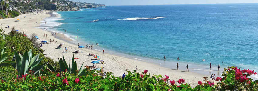 Diane Harris's Banner