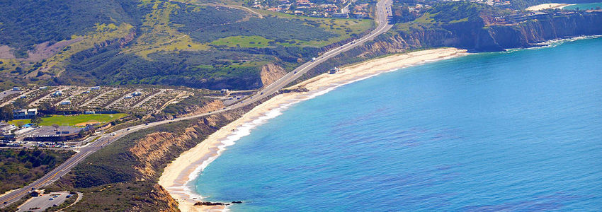 Elizabeth Doty's Banner