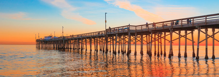 Shannon Grady's Banner